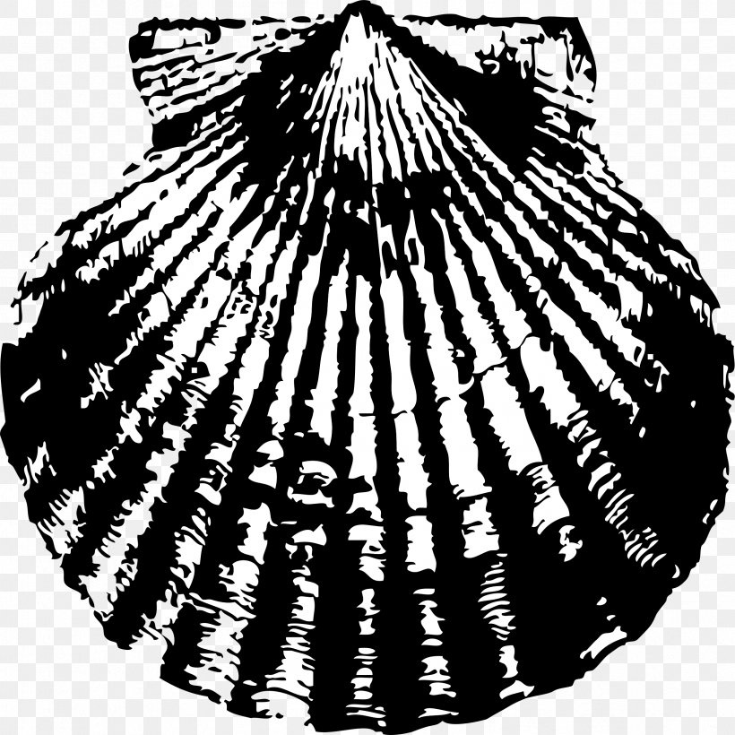 Clip Art Seashell Pectinidae Vector Graphics Openclipart, PNG, 2398x2400px, Seashell, Bivalvia, Black And White, Clams Oysters Mussels And Scallops, Cockle Download Free