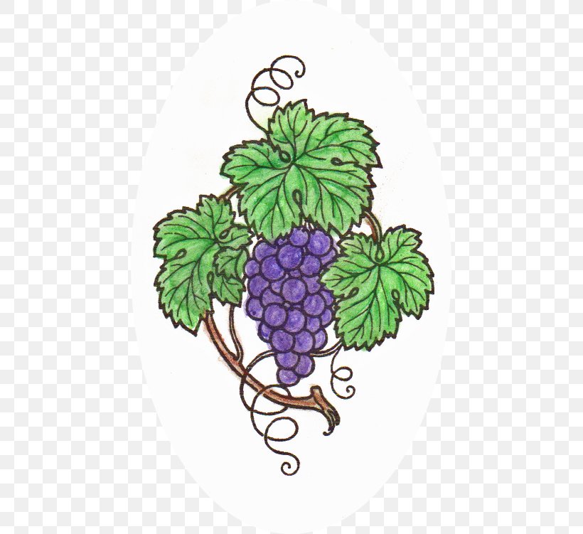 Grape Flowerpot Vine Tree, PNG, 451x751px, Grape, Flower, Flowering Plant, Flowerpot, Food Download Free