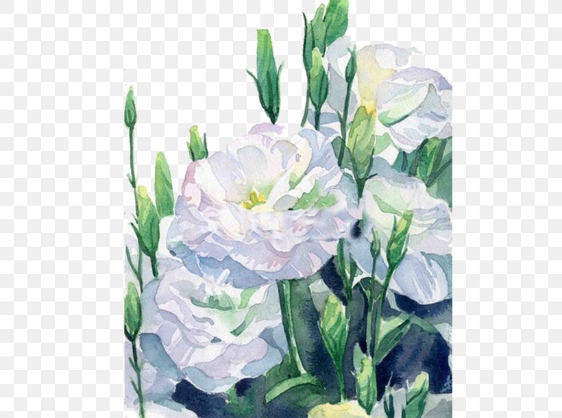 White Flower Computer File, PNG, 500x610px, Flower, Acrylic Paint, Artificial Flower, Color, Cut Flowers Download Free