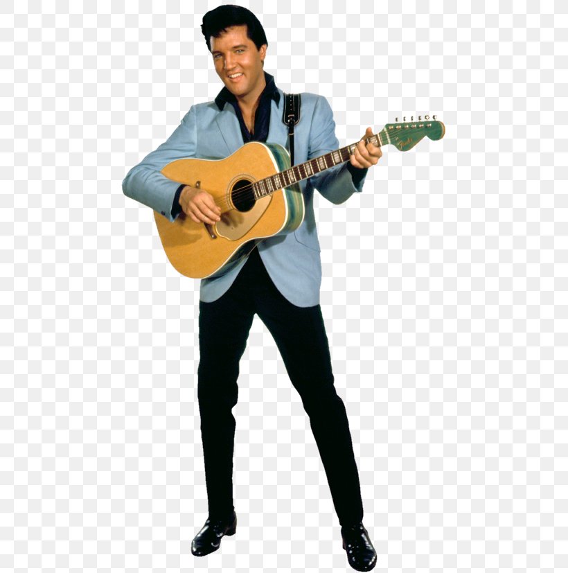 Elvis Presley Fender Stratocaster Fender Coronado Fender Jazzmaster Fender Musical Instruments Corporation, PNG, 480x827px, Watercolor, Cartoon, Flower, Frame, Heart Download Free