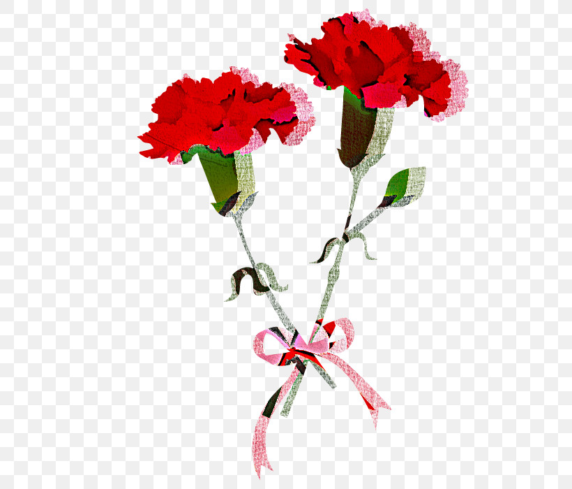 Flower Red Plant Cut Flowers Carnation, PNG, 600x700px, Flower, Bouquet, Carnation, Coquelicot, Cut Flowers Download Free