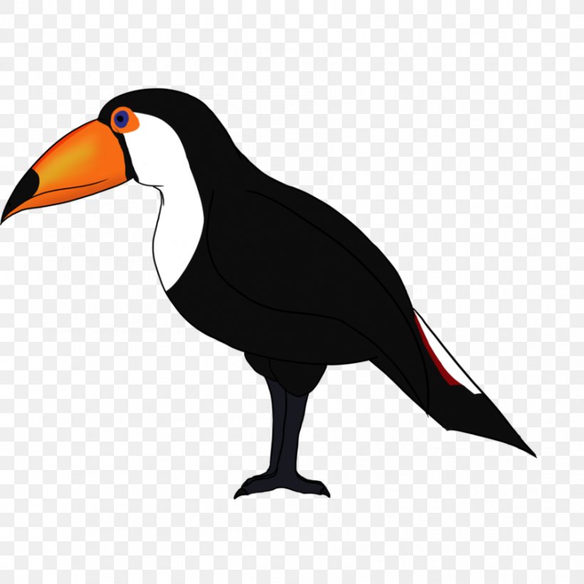 Beak Water Bird Toucan Clip Art, PNG, 894x894px, Beak, Bird, Fauna, Toucan, Water Bird Download Free