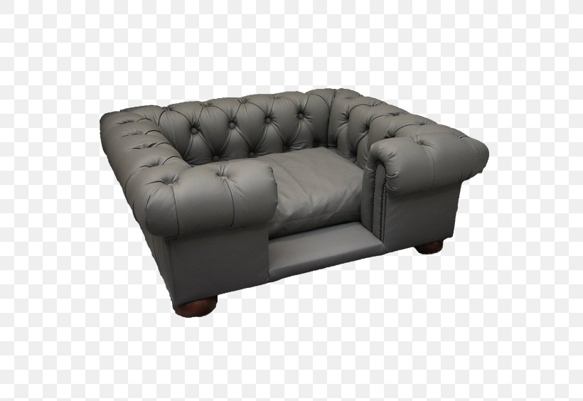 Dog Sofa Bed Couch Bedding, PNG, 576x564px, Dog, Bed, Bed Frame, Bed Size, Bedding Download Free