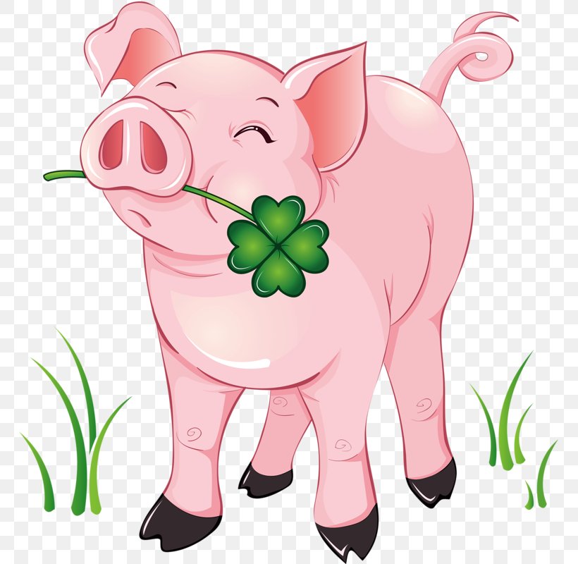 Domestic Pig Piglet Clip Art, PNG, 765x800px, Watercolor, Cartoon, Flower, Frame, Heart Download Free