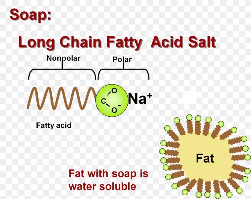 Fatty Acid Lipid Salt, PNG, 1367x1084px, Fatty Acid, Acid, Acid Salt, Area, Bile Acid Download Free