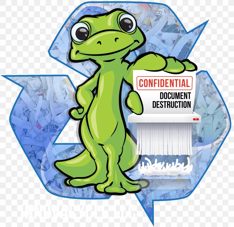 Paper Shredder Innovacycle Document Clip Art, PNG, 2969x2884px, Paper, Amphibian, Cartoon, Computer, Confidentiality Download Free