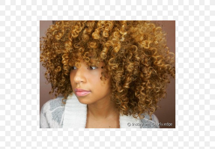 Afro Blond Hair Coloring Brown Hair, PNG, 790x569px, Afro, Blond, Brown Hair, Cabelo Encarapinhado, Chestnut Download Free