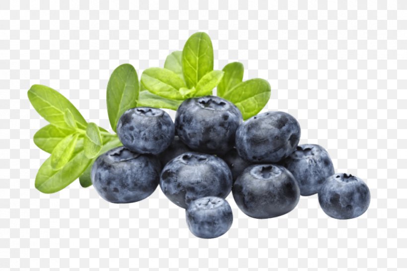 Bubble Tea Blueberry Flavor Popping Boba, PNG, 850x566px, Bubble Tea, Antioxidant, Berry, Bilberry, Blueberry Download Free