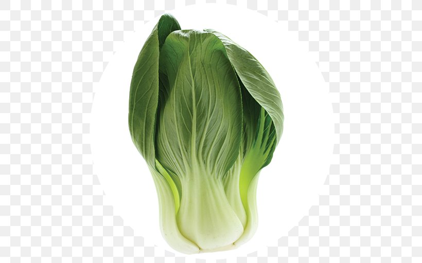 Cabbage Leaf Vegetable Food, PNG, 512x512px, Cabbage, Bok Choy, Chinese Cabbage, Choy Sum, Collard Greens Download Free