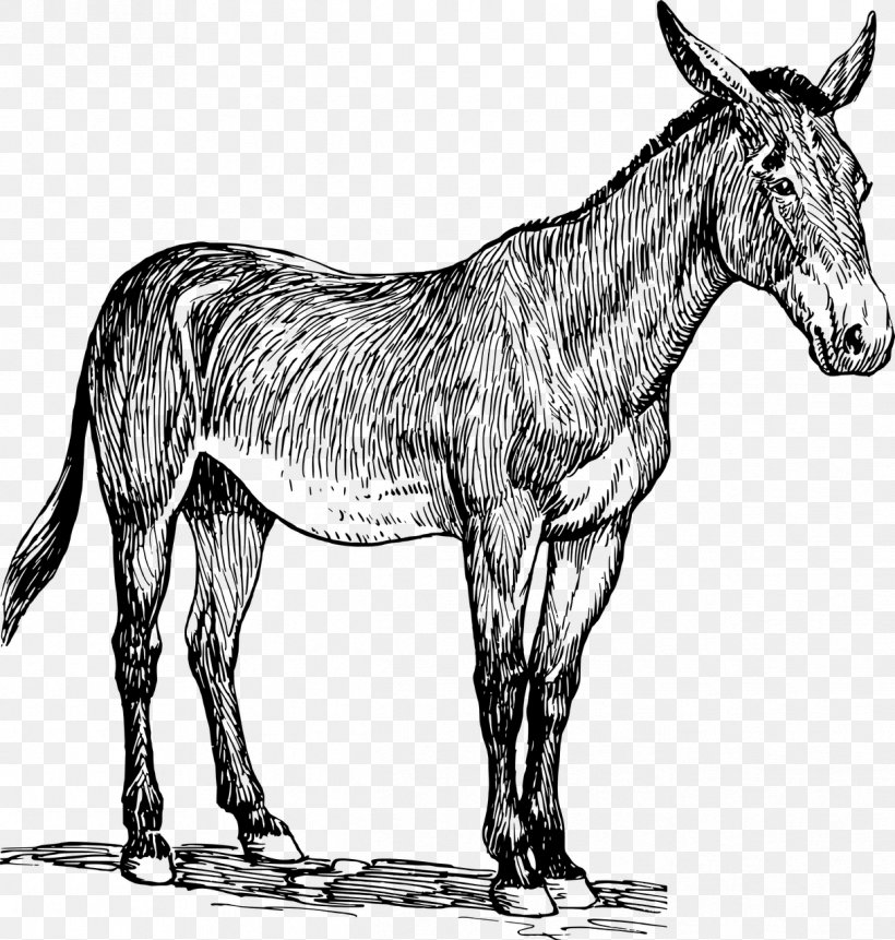 Donkey Mule Clip Art, PNG, 1218x1280px, Donkey, Black And White, Book Illustration, Colt, Digital Illustration Download Free