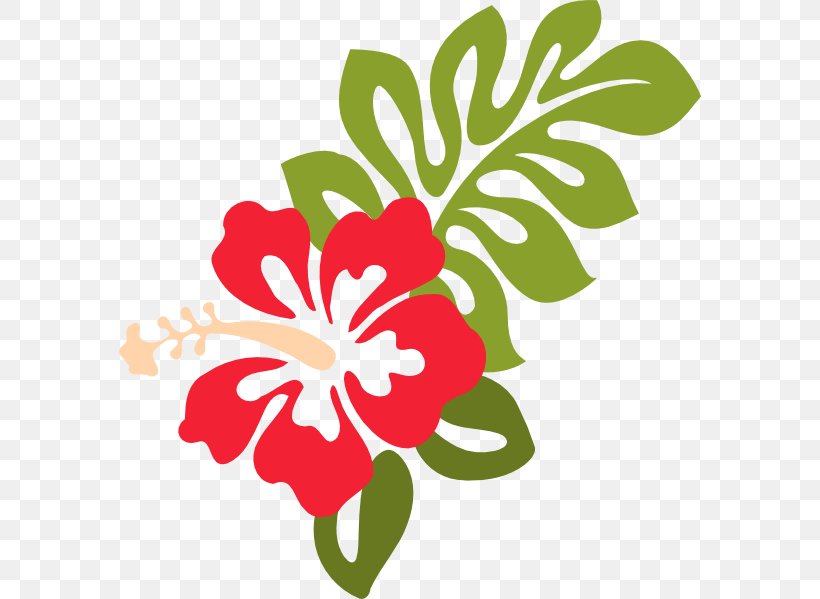 Hibiscus Schizopetalus Hawaiian Hibiscus Clip Art, PNG, 582x599px, Hibiscus Schizopetalus, Alyogyne Huegelii, Artwork, Cut Flowers, Facebook Download Free