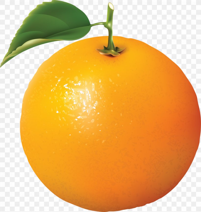 Juice Orange Citrus Clip Art, PNG, 3678x3867px, Orange, Bitter Orange, Blog, Citric Acid, Citrus Download Free