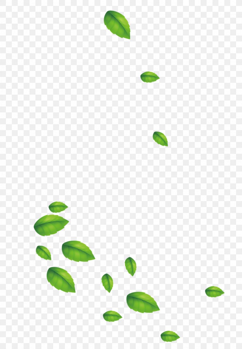 leaf designer png 1136x1636px leaf data designer floating material grass download free leaf designer png 1136x1636px leaf