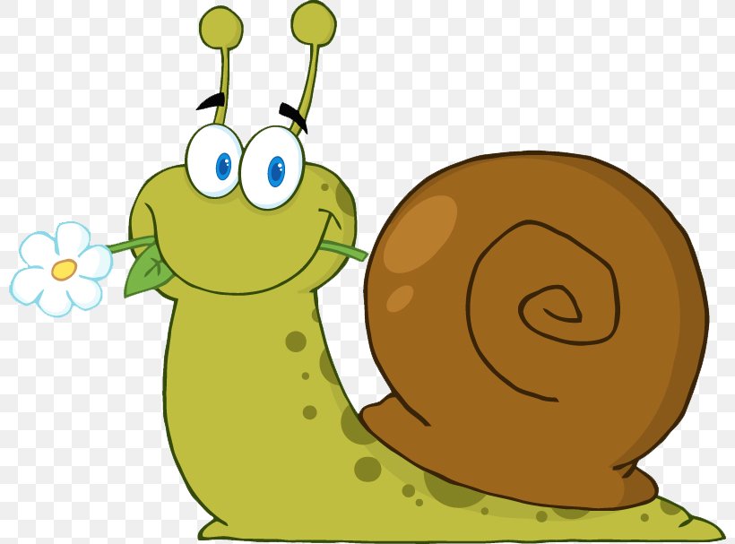 Snail Cartoon Royalty-free Clip Art, PNG, 800x607px, Snail, Cartoon, Drawing, Fotosearch, Gastropod Shell Download Free
