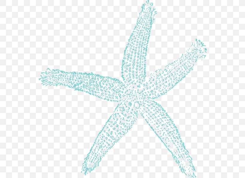 Starfish Turquoise Pattern, PNG, 564x599px, Starfish, Aqua, Echinoderm, Fish, Marine Invertebrates Download Free