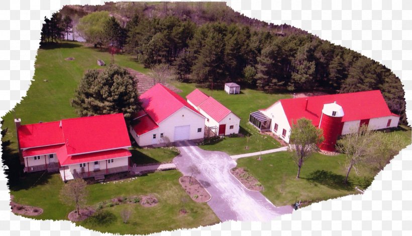 Farm Property Real Estate House Land Lot, PNG, 1260x725px, Farm, Estate, Grass, Home, House Download Free
