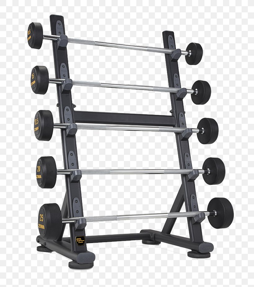 Fitness Centre Dumbbell Exercise Equipment Weight Training, PNG, 800x927px, Fitness Centre, Crossfit, Dumbbell, Exercise Equipment, Exercise Machine Download Free