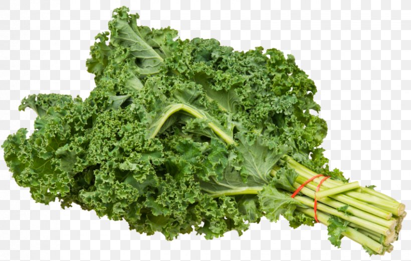 Kale Vegetable Food, PNG, 850x542px, Kale, Brassica Oleracea, Broccoli, Cabbage, Cauliflower Download Free