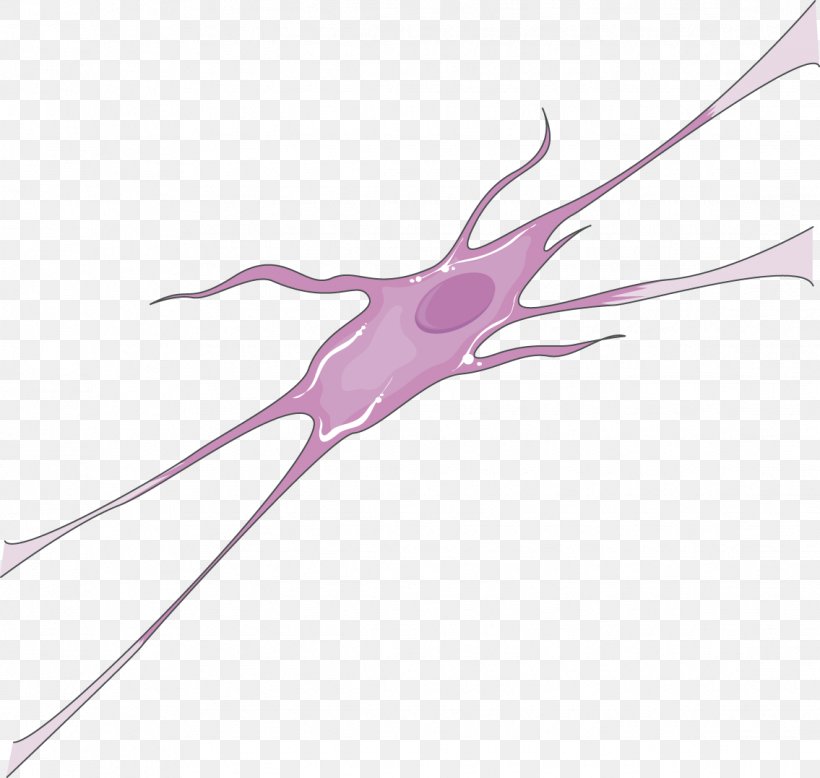 Neuron Medicine Neurology Rheumatology Ophthalmology, PNG, 1135x1077px, Neuron, Branch, Dendrite, Dendritic Cell, Hand Download Free
