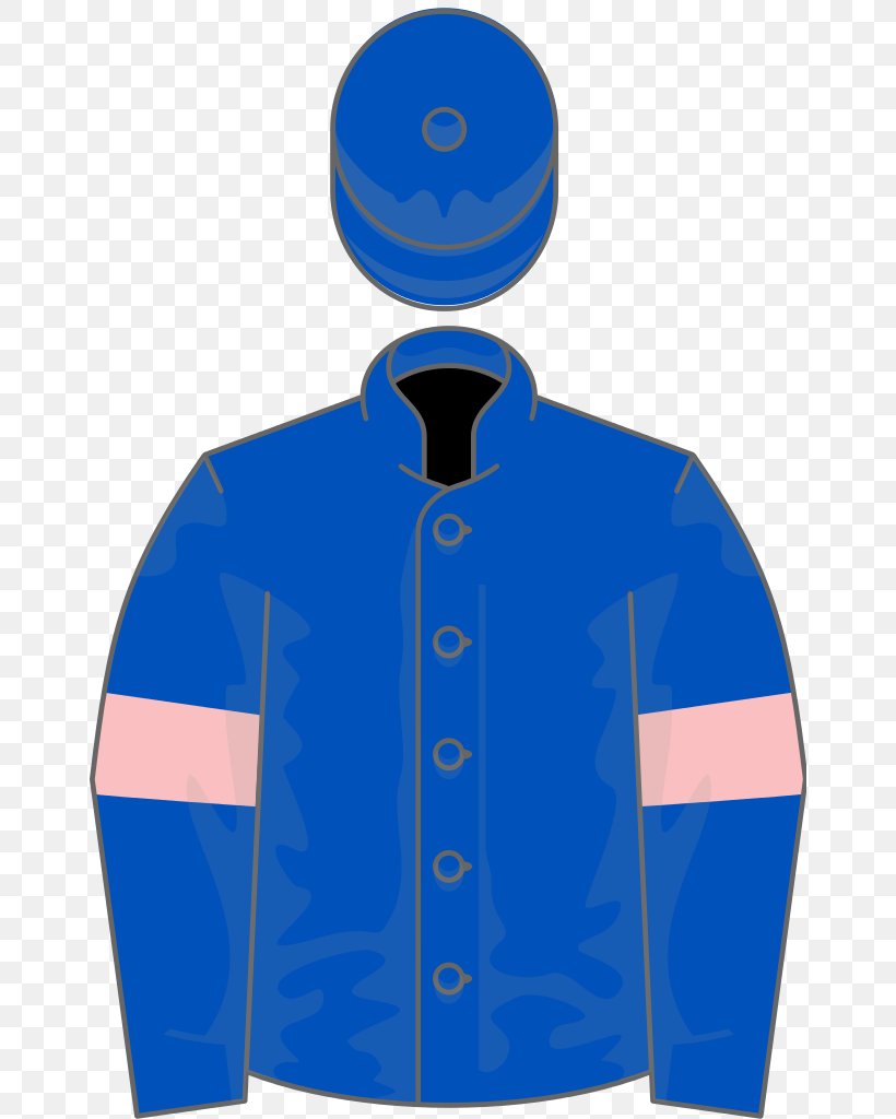 Thoroughbred Horse Racing Calumet Farm Fred Winter Juvenile Novices' Handicap Hurdle, PNG, 656x1024px, 2000 Guineas Stakes, Thoroughbred, Ascot Racecourse, Awtaad, Blue Download Free