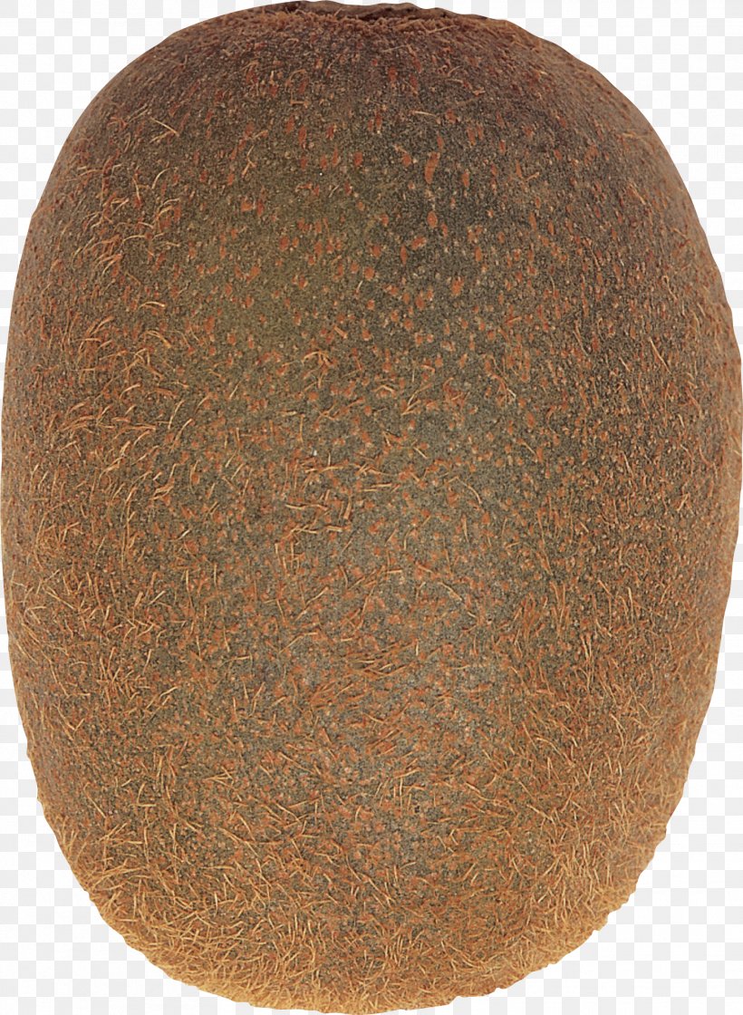 Actinidia Deliciosa Kiwifruit, PNG, 1878x2567px, Artifact Download Free