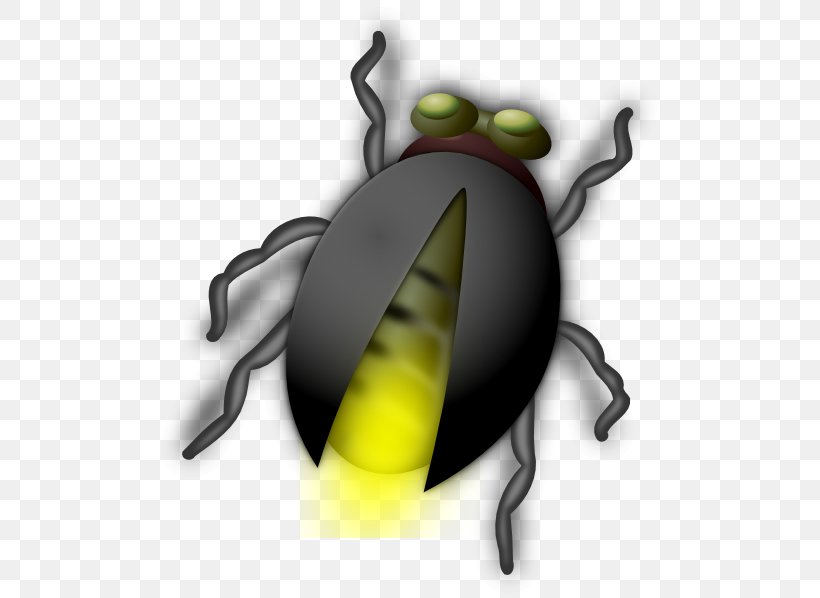 Beetle Free Content Firefly Clip Art, PNG, 504x598px, Beetle, Aphid, Firefly, Food, Free Content Download Free