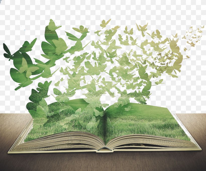 Book Royalty-free Author Illustration, PNG, 1100x913px, Book, Author, Flowerpot, Grass, Houseplant Download Free