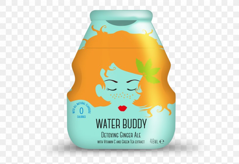 Ginger Ale Water Buddies @ Coombe Country Park Liquid Curriculum Vitae, PNG, 2480x1709px, Ginger Ale, Bottle, Brand, Career Portfolio, Client List Download Free