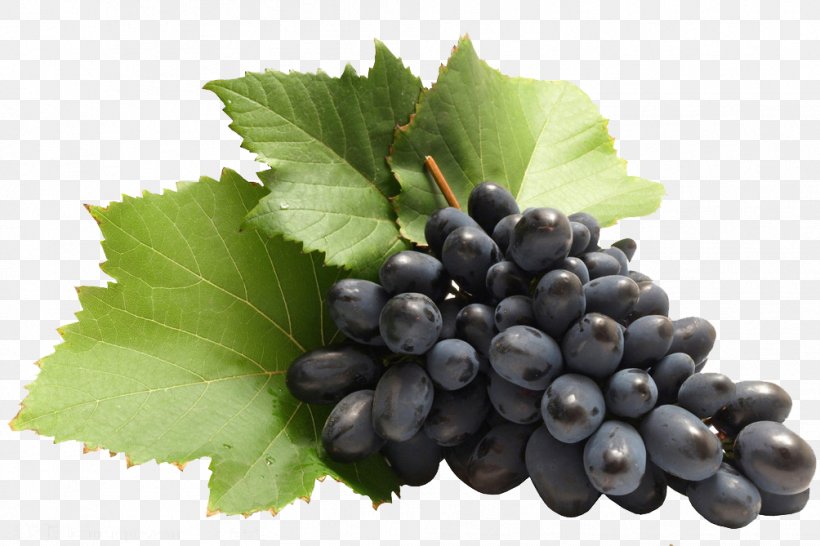 Zante Currant Common Grape Vine Blackcurrant, PNG, 1004x669px, Zante Currant, Berry, Bilberry, Blackcurrant, Blueberry Download Free