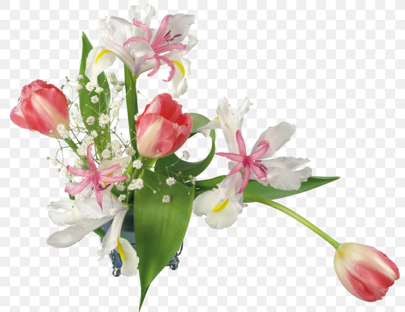 Balatonederics Nemesvita Holiday Spring Flower, PNG, 800x632px, Holiday, Birthday, Cut Flowers, Daytime, Floral Design Download Free
