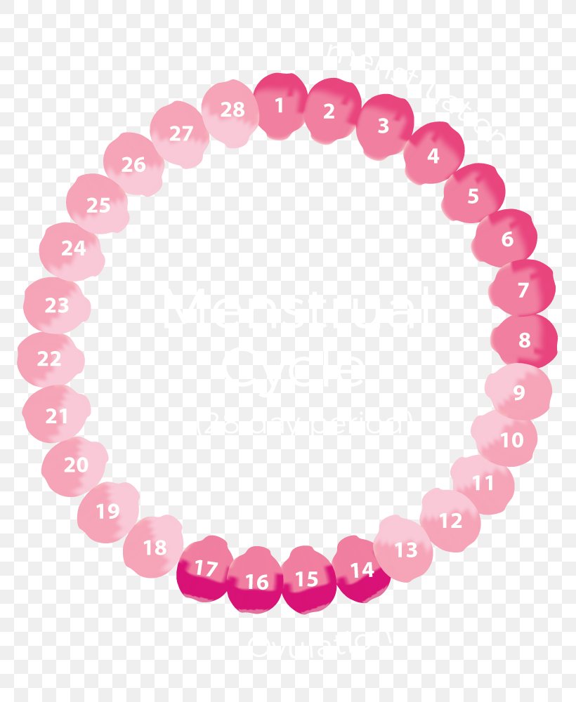 Charm Bracelet Menstrual Cycle Pandora Menstruation, PNG, 800x1000px, Charm Bracelet, Amazoncom, Bead, Body Jewelry, Bracelet Download Free