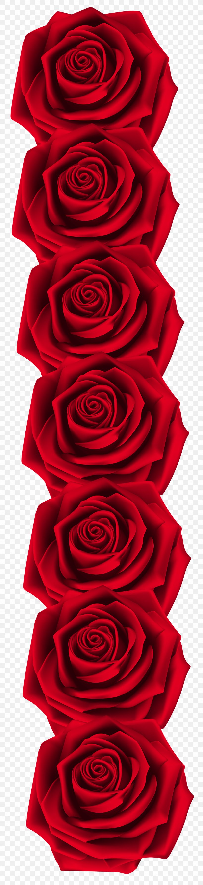 Garden Roses Clip Art, PNG, 1805x7875px, Beach Rose, Cut Flowers, Flower, Flowering Plant, Garden Roses Download Free