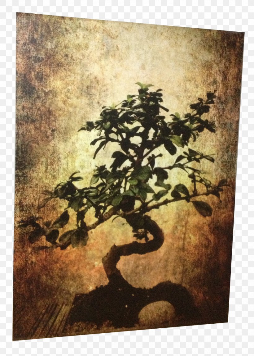 Paper Painting Canvas Mural Wallpaper, PNG, 930x1300px, Paper, Art, Bonsai, Branch, Canvas Download Free