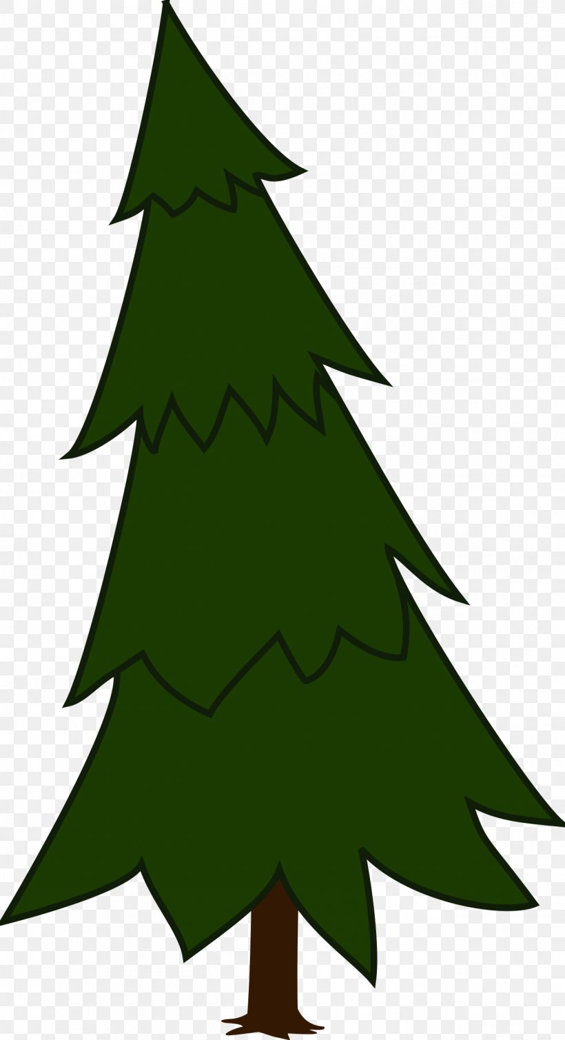 Pine Tree Spruce Conifers Clip Art, PNG, 1304x2400px, Pine, Beak, Bird, Black Pine, Branch Download Free