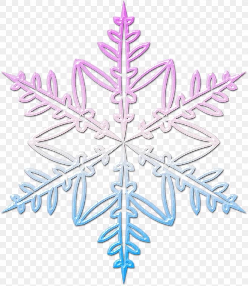 Snowflake Symmetry Leaf Pattern, PNG, 2927x3376px, Snowflake, Leaf, Symmetry, Tree Download Free
