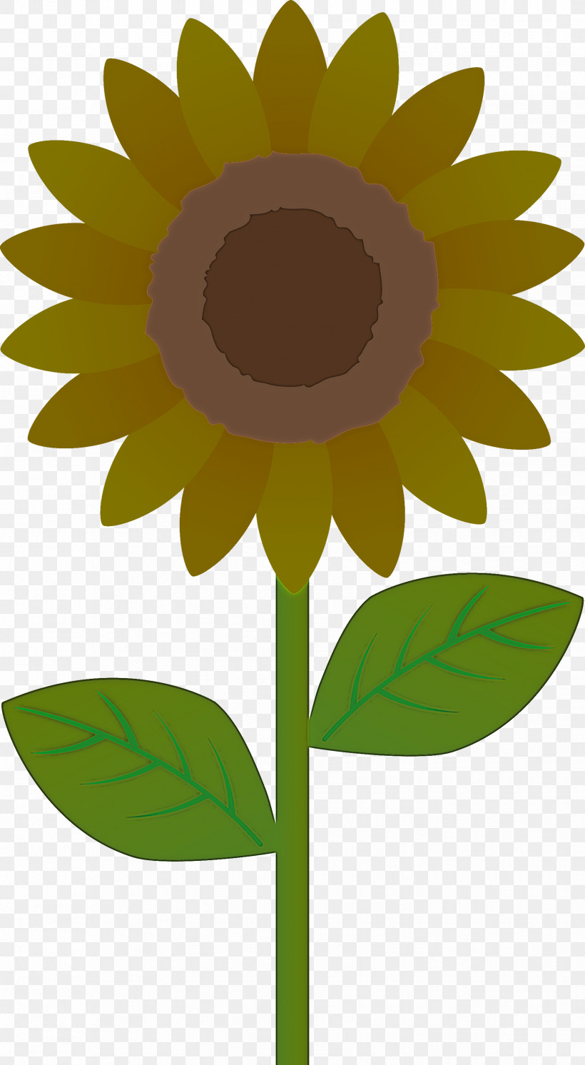 Sunflower, PNG, 1648x3000px, Sunflower, Annual Plant, Asterales, Blackeyed Susan, Cartoon Download Free