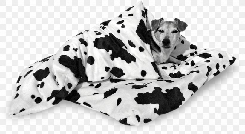 Dalmatian Dog Dog Breed Duvet Non-sporting Group, PNG, 1756x963px, Dalmatian Dog, Animal, Animal Figure, Bed, Black And White Download Free