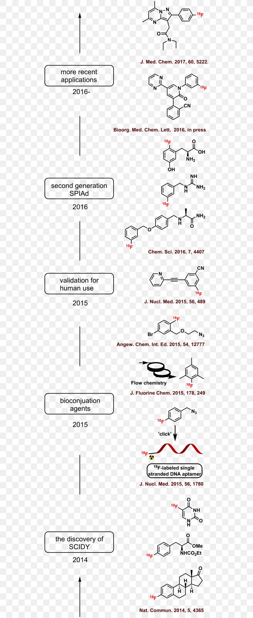 Fluorine-18 18F Paper Medical Imaging Ylide, PNG, 538x2000px, Paper, Abstract, Area, Diagram, Drug Download Free