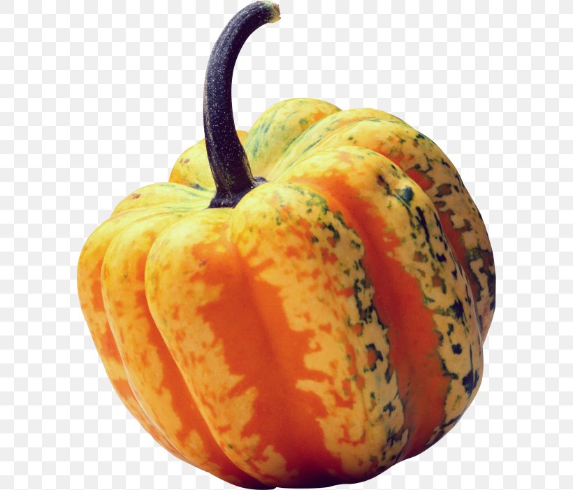 Field Pumpkin Gourd Cucurbits, PNG, 600x701px, Pumpkin, Accessory Fruit, Acorn Squash, Bell Pepper, Bell Peppers And Chili Peppers Download Free