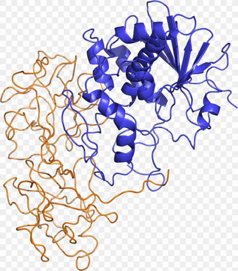 Ricinus Shiga Toxin Ribosome-inactivating Protein, PNG, 919x1045px, Ricin, Agglutinin, Area, Art, Artwork Download Free