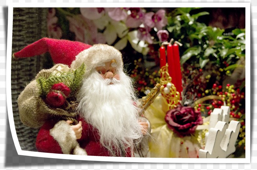 Santa Claus Viterbo Coca-Cola NORAD Tracks Santa Christmas, PNG, 2437x1615px, Santa Claus, Child, Christmas, Christmas Decoration, Christmas Ornament Download Free