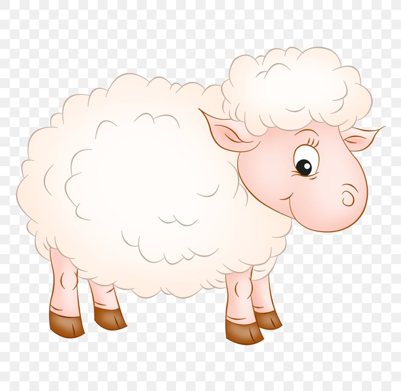 Sheep Goat Clip Art, PNG, 800x800px, Sheep, Areca Palm, Cartoon, Cattle, Cattle Like Mammal Download Free