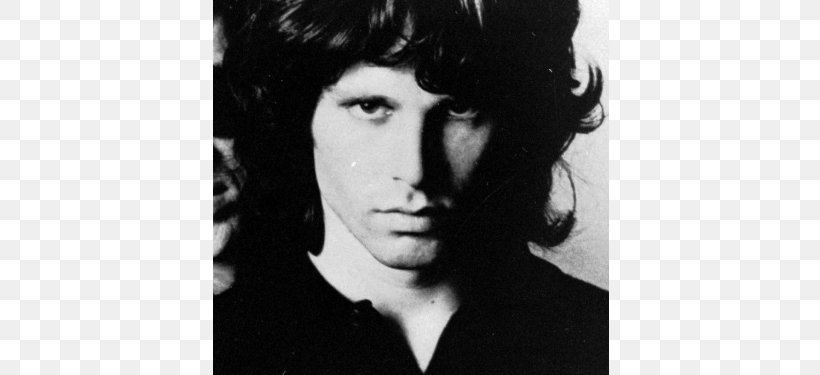 Jim Morrison The Doors An American Prayer Death Musician, PNG, 667x375px, Watercolor, Cartoon, Flower, Frame, Heart Download Free