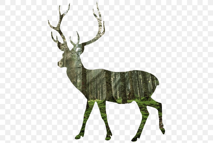 Reindeer Cartoon, PNG, 550x550px, Deer, Animal Figure, Antelope, Antler, Blacktailed Deer Download Free