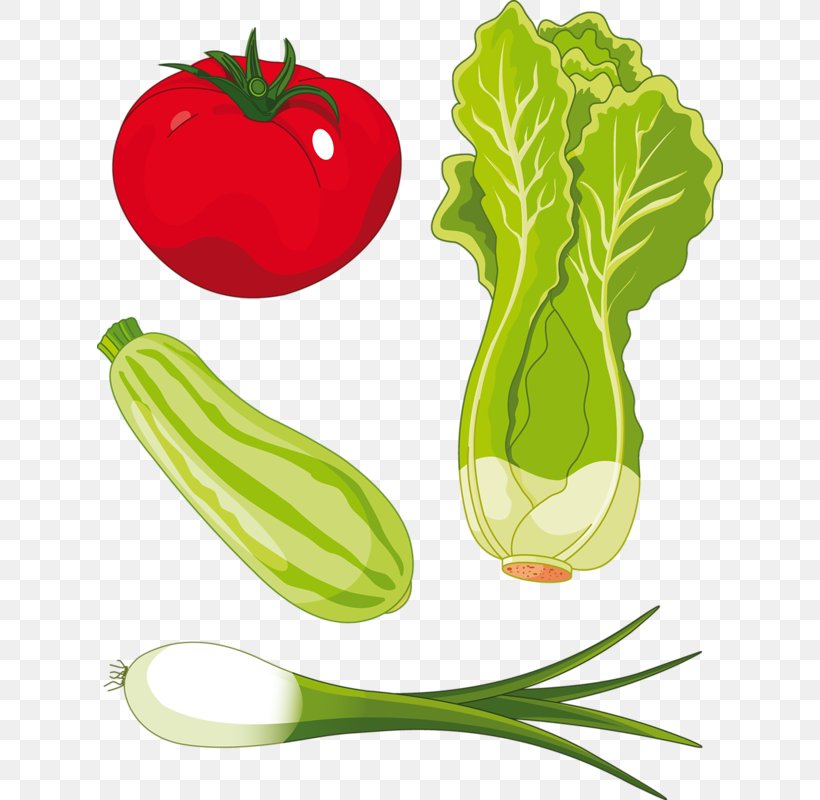 Romaine Lettuce Salad Clip Art, PNG, 626x800px, Lettuce, Apple, Cabbage, Cucumber, Cucumber Gourd And Melon Family Download Free