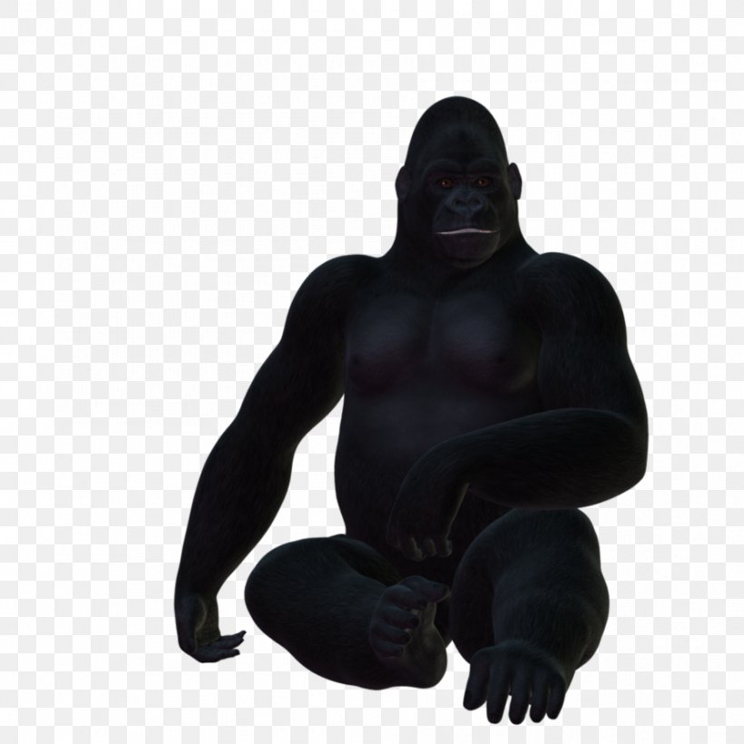 Western Gorilla Primate PhotoScape GIMP, PNG, 894x894px, Western Gorilla, Ape, Daz Studio, Figurine, Gimp Download Free
