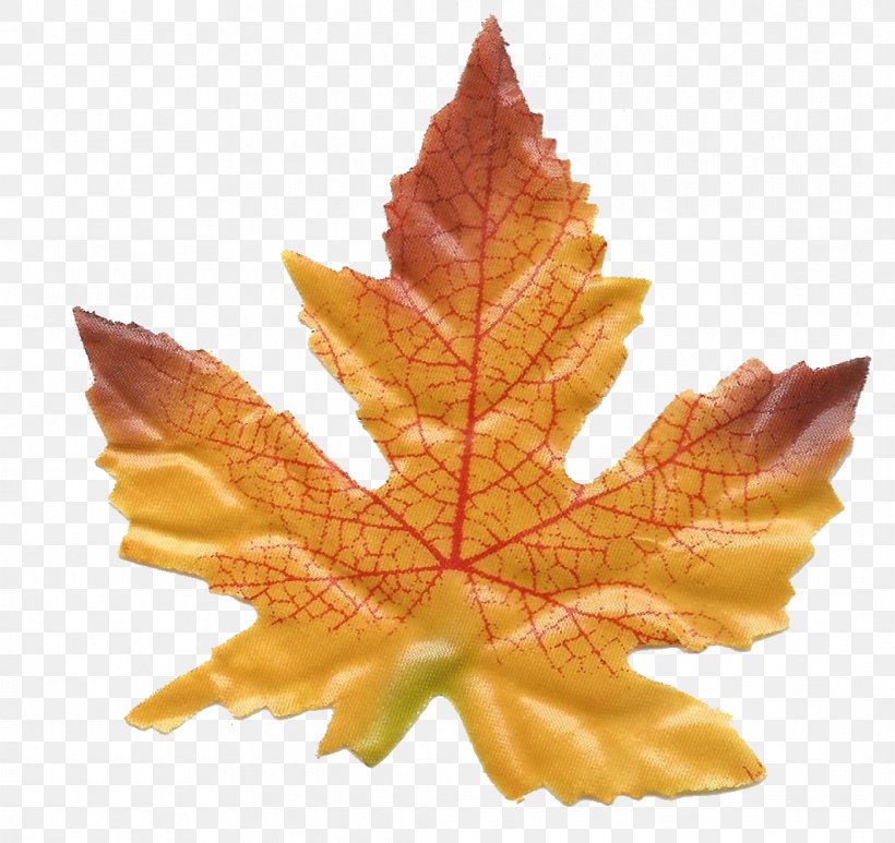 Autumn Image Clip Art Design Decorative Arts, PNG, 1062x1002px, Autumn, Art, Autumn Leaf Color, Decorative Arts, Decoupage Download Free
