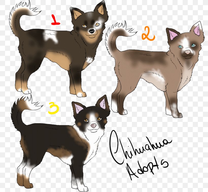 Chihuahua Border Collie Norwegian Lundehund Cat Puppy, PNG, 800x756px, Chihuahua, Animal, Border Collie, Canidae, Carnivora Download Free