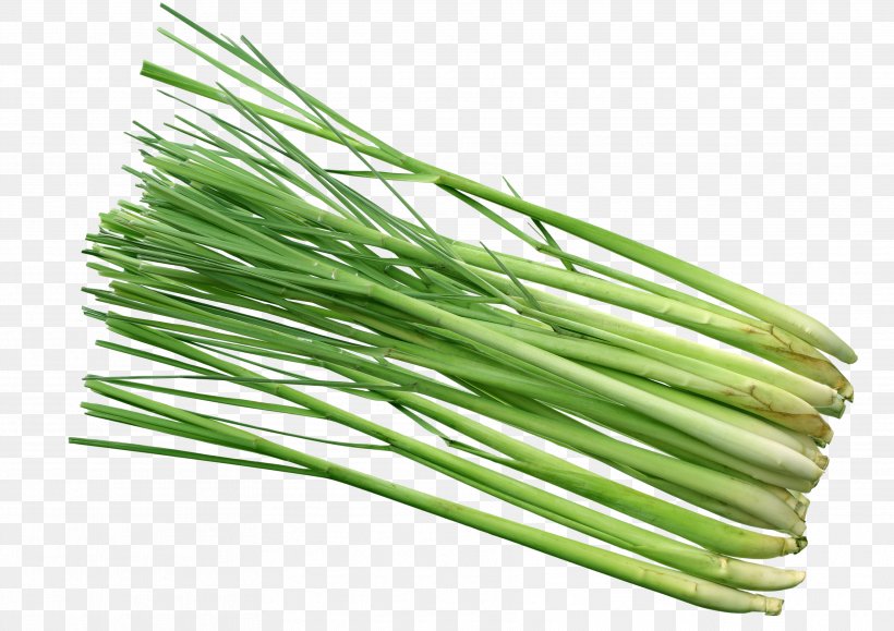 Cymbopogon Citratus Asian Cuisine Lemon Stock Photography Herb, PNG, 3538x2500px, Cymbopogon Citratus, Aroma Compound, Asian Cuisine, Asparagus, Commodity Download Free