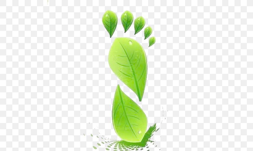 Leaf Shape Green Euclidean Vector, PNG, 513x491px, Leaf, Color, Green, Leaf Shape, Plant Download Free